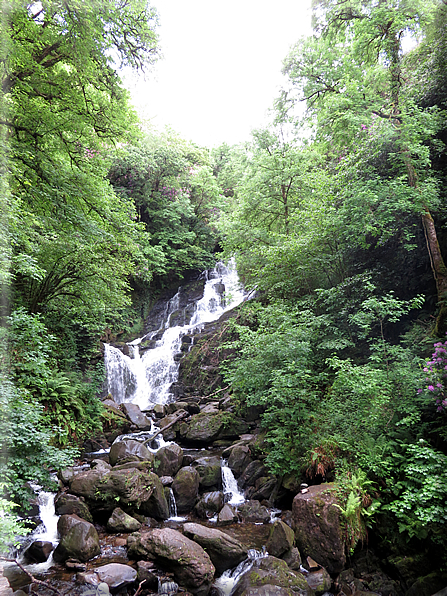 foto Parco di Killarney